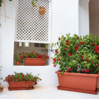 Design inpiration avec jardiniere traditional plant box - Plantopia Casablanca Rabat Marrakech Fes Sale