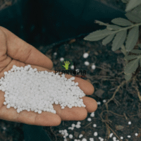 Engrais NPK spécial gazon et arbustes à Bouskoura Tanger Casablanca Rabat Sale Meknes Tetouan Nador