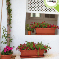 Jardiniere pot rectangulaire pour culture des plantes à l'interieur et l'exterieur - Plantopia Maroc