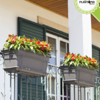 Meilleur fournisseur et distributeur au Maroc des balconnieres ANTI UV avec soucoupe et support Balcon