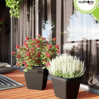 Meilleur fournisseur et premier vendeur de pots carrés et cubiques en plastiue anti UV au Maroc - Plantopia