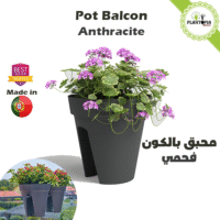 Pot anti uv pour balcon à bon prix couleur noir anthracite - Plantopia Maroc
