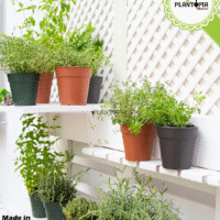 Pot de culture et enracinement couleur Terra Cotta en vente chez Plantopia Maroc