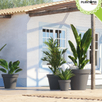 Pot design robuste en plastique leger et resitant anti UV couleur anthracite chez Plantopia Maroc