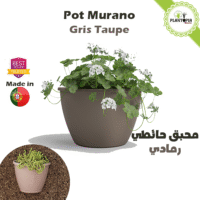 Pot pour mur couleur gris taupe 30 chez Plantopia Casablanca Bouskoura Dar Bouazza Sale Kenitra Oujda
