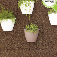 Pot pour mur en polypropylene anti UV en vente à Casablanca Rabat Marrakech Tanger Sale Tetouan