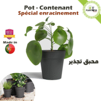 Pots pour rempotage et semis et enracinement couleur noir anthracite - Plantopia Maroc