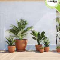 Premier et meilleur vendeur de pots polypropylene anti UV avec drainage et livraison - Plantopia Maroc