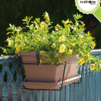 Premier vendeur et fournisseur des jardinieres elegantes et modernes avec attaches et accessoires - Plantopia