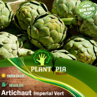 Sachet de graines et semences artichaut imperial vert - Plantopia Maroc