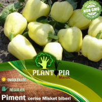 Sachet de graines et semences de piment boule cerise jaune Misket Biberi - Plantopia Maroc