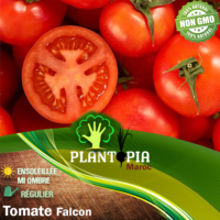 Sachet de graines et semences de tomate Falcon reproductible - Plantopia Maroc
