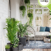 Vendeur en gros et en details de pots plastique recyclé avec trous de drainage - Plantopia Maroc