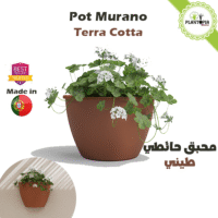 Vendeur et fournisseur de pots muraux avec attache et accroche de mur couleur terre cuite - Plantopia Maroc