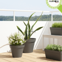 Vendeur et fournisseur de pots polypropylene couleur gris taupe à Casablanca Rabat Marrakech Tanger