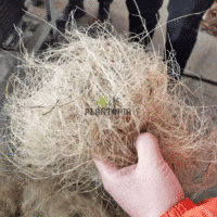 Vendeur et fournisseur des filaments de fibre de coco horticole à Casablanca Rabat Tanger Bouskoura Marrakech