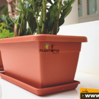 Veneur et distributeur e jarinieres traditional plant box au Maroc par Plantopia Maroc
