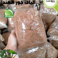 Vente de fibre de coco horticole pour paillage au Maroc à tres bon prix pour particuliers et pros - Plantopia