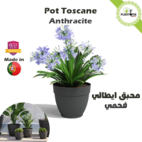 Vente de pot avec trous de drainage plastique résistant anti UV pour intérieur et extérieur - Plantopia Maroc