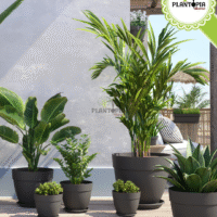 Vente de pot capri plastique recyclé anti UV avec trous de drainage à Casablanca Rabat Marrakech Tanger