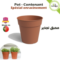 Vente de pot interieur et exterieur pour culture et enracinement des plantes - Plantopia Maroc