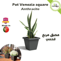 Vente de pots carrés interieur et exterieur avec trou de drainage couleur anthracite - Plantopia Maroc