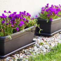 Vente des jardinieres au design italien à bon prix au Maroc couleur Anthracite 40 cm - Plantopia Maroc