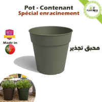 Pots "Spécial enracinement" - "Dry Green" - Intérieur et extérieur