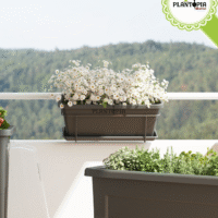 Vente en gros et details pour particuliers et professionnels avec facture des balconnieres - Plantopia Maroc