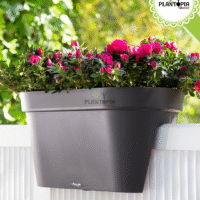 Vente et distribution des balconnières ovales Capri Balcony - Plantopia Maroc