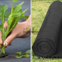 Vente toile de paillage pour protection des cultures et anti mauvaises herbes à Casablanca Rabat Marrakech