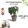 pot de jardinage aéré avec trou de rainage en polypropylene - Plantopia Maroc