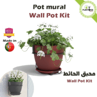 بيع حاويات الزراعة المنزلية للتعليق في الحائط بتصميم ايطالي في المغرب مع التوصيل في الدارالبيضاء اكاير طنجة مراكش الرباط