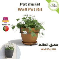 بيع حاوية وانية الزراعة المنزلية للتعليق في الحائط بتصميم ايطالي في المغرب مع التوصيل في الدارالبيضاء اكاير طنجة مراكش الرباط