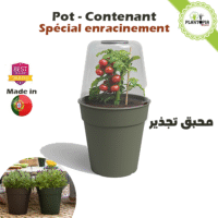 بيع محابق التجذير وزراعة البذور في المغرب مع التوصيل - Plantopia Maroc