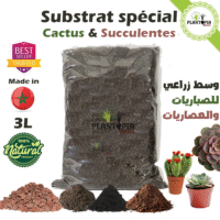 Terreau substrat special Cactus et succulentes qualité Premium au meilleur prix - Plantopia Maroc