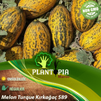sachet de graines et semences de melon turque Kırkağaç 589 - Plantopia Maroc