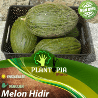 sachet de graines & semences de Melon Turc Hidir - Plantopia Maroc seed packets