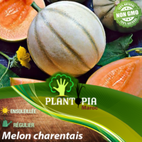 sachet de graines & semences de melon charentais - Plantopia Maroc seed packets