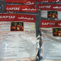 CAPTAF – Fongicide Captane WP contre le mildiou et maladies fongiques - Plantopia Maroc