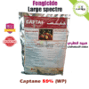 Fongicide Captane poudre mouillable à large spectre pour plantes du jardin chez Plantopia Rabat Bouskoura Casablanca