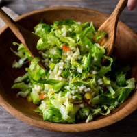 Recette de salae frisée turque cultivée des graines de Plantopia Casablanca Rabat Tanger Marrakech Bouskoura