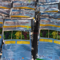 fongicide cuivre métal (sulfate de cuivre) chez Plantopia Casablanca Rabat Tanger Marrakech Fes Kenitra safi sale