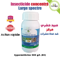 CYPGold 500 EC insecticide concentré efficace contre puceron mouche blanche chenilles carpocapses cicadelles - Plantopia Maroc