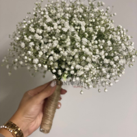 Graines & semences fleur Gypsophile nuage blanc Baby's breath à Marrakech Tanger Rabat Temara Kenitra