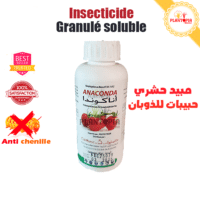insecticide ANACONDA contre chenilles de lépidoptères et noctuelles pour tomate - Plantopia Maroc