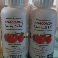 insecticide contre chenilles et noctuelles pour potager chez Plantopia Casablanca Bouskoura Tanger Rabat