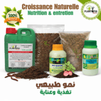 Pack Croissance naturelle pour nutrition et entretien BIO des plantes et jardin - Plantopia Maroc