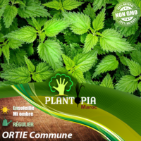 Sachet de graines et semences d'ortie commune urtica Dioica - Plantopia Maroc
