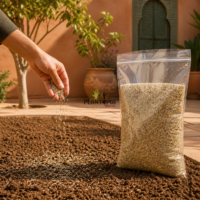 Graines de gazon fleuri mélange pelouse méditéranénne chez Plantopia Tanger Rabat Marrakech Casablanca sale